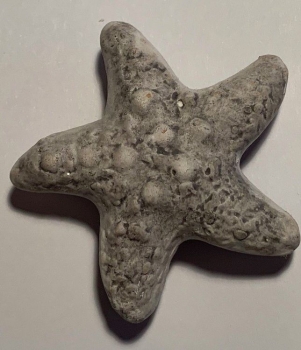 Keramik Seestern, grau